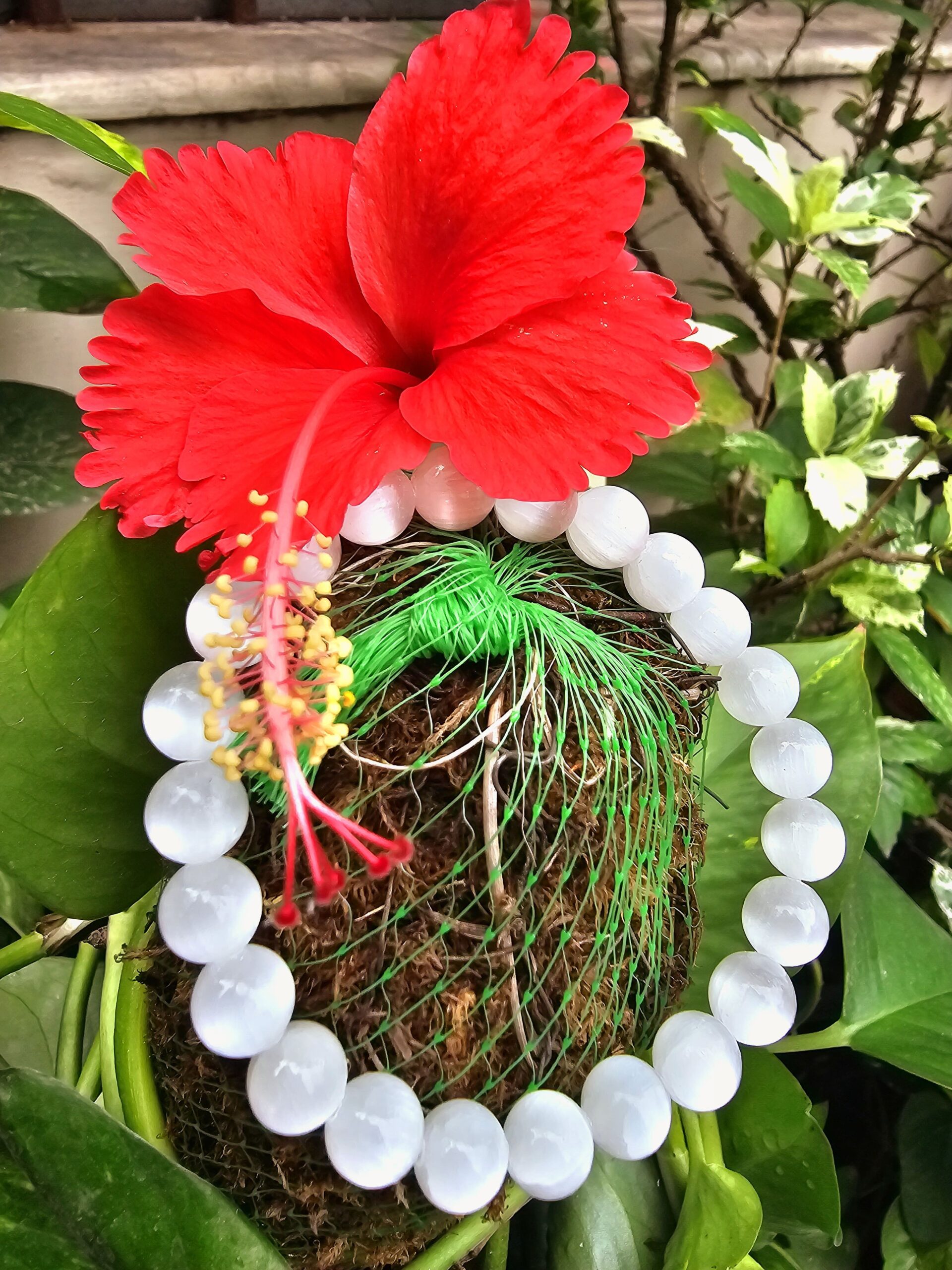 Selenite Bracelet - Image 4