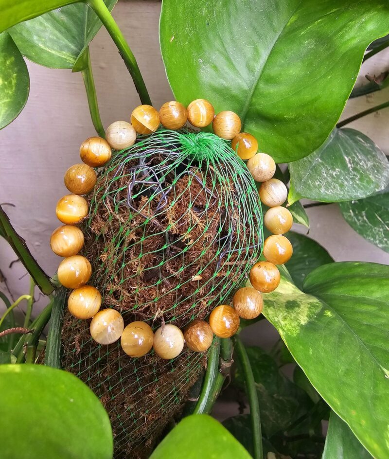Cat’s Eye Crystal Bracelet